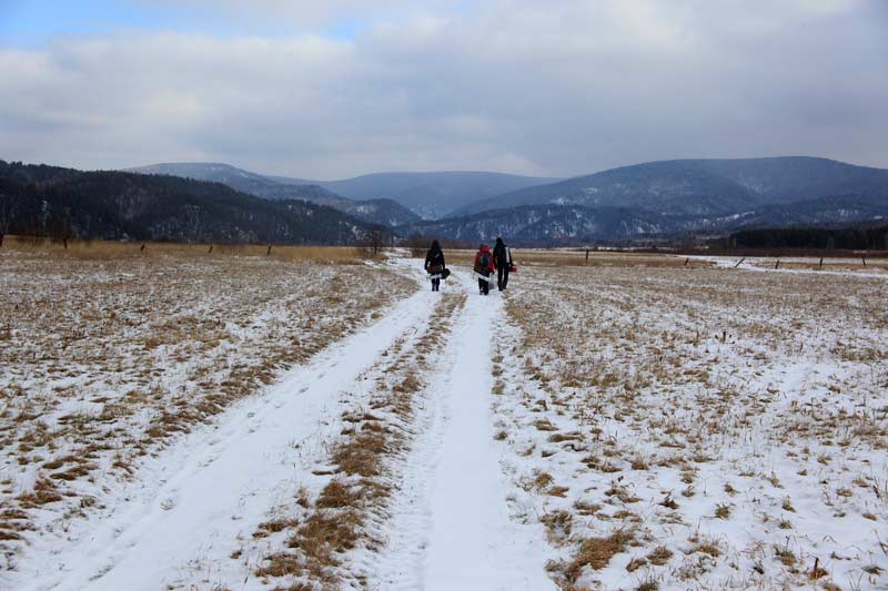_MG_7877.jpg