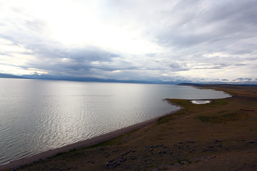 _MG_7897.jpg