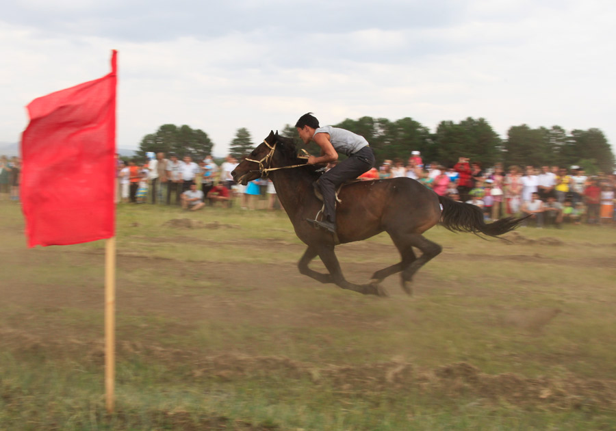 _MG_8007.jpg