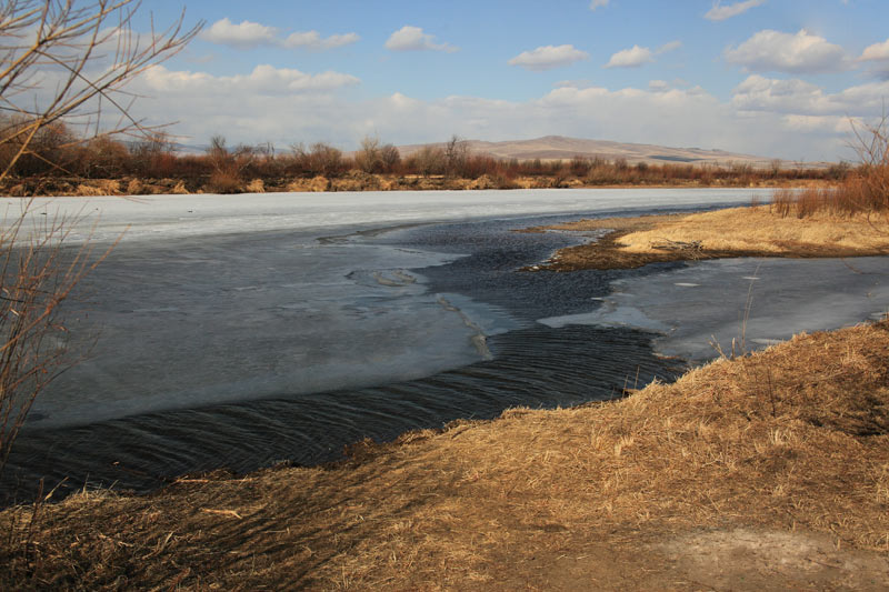 _MG_8093.jpg
