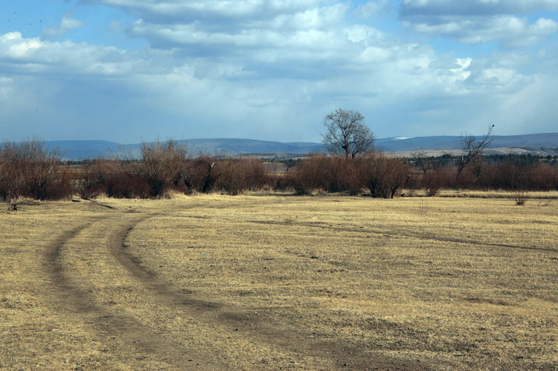 _MG_8112.jpg