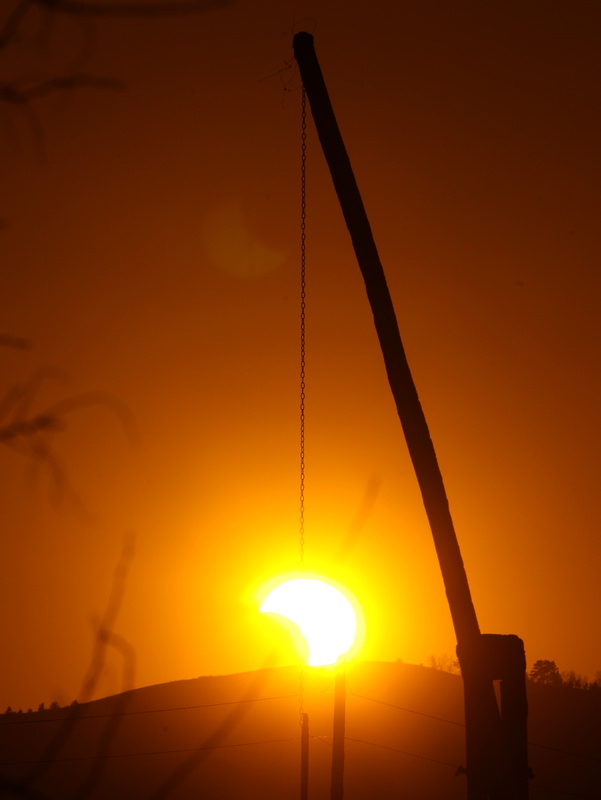 _MG_8810.jpg