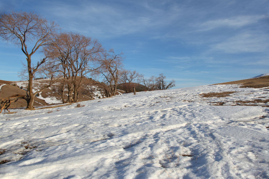 _MG_8851.jpg