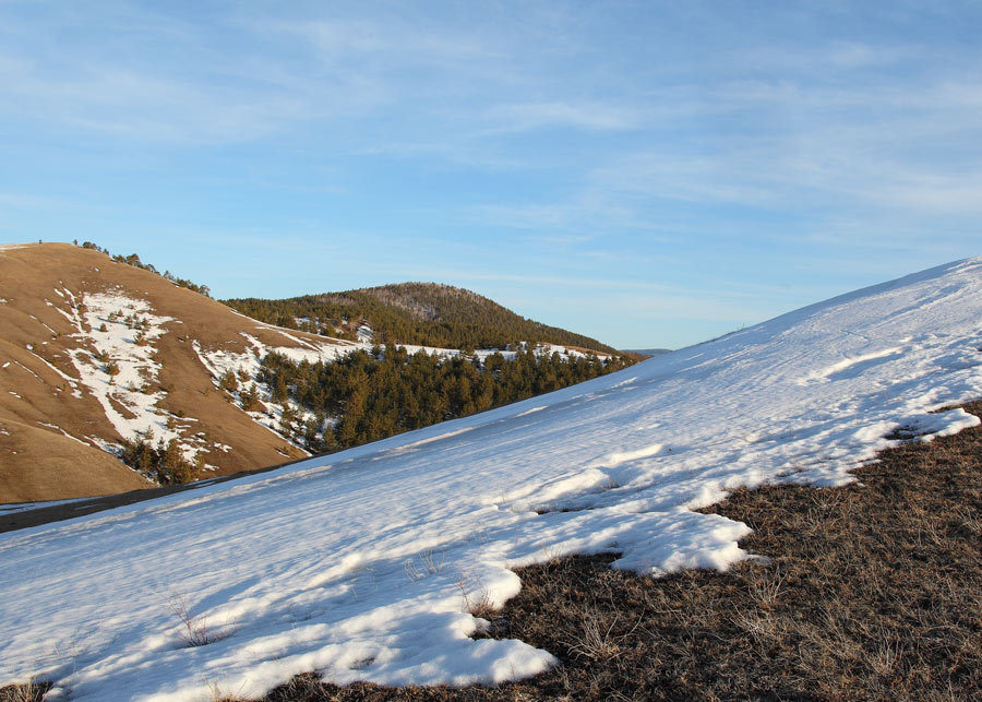 _MG_8862.jpg