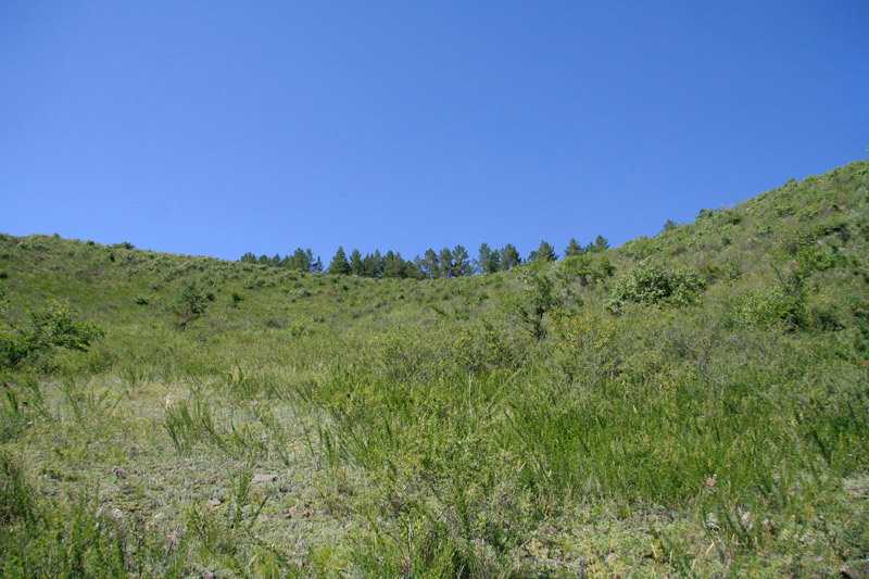 _MG_9015.JPG