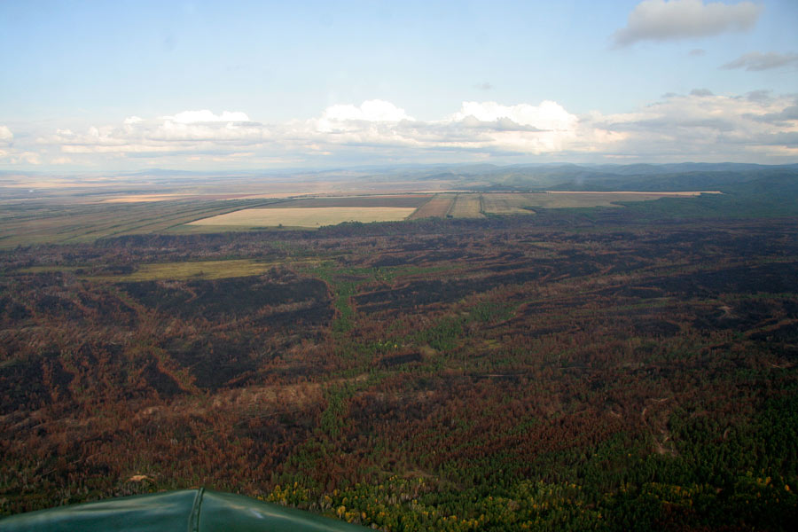 _MG_9204.jpg