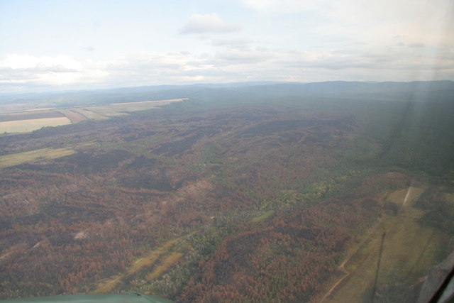 _MG_9208.jpg
