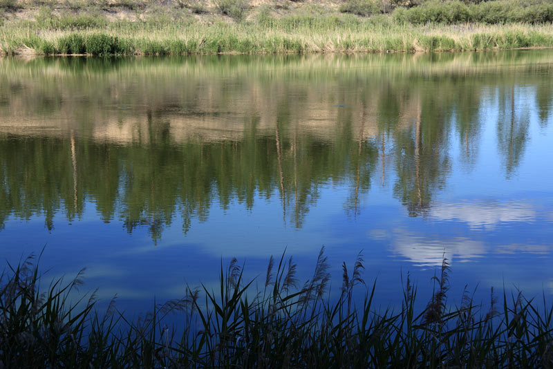 _MG_9577.jpg