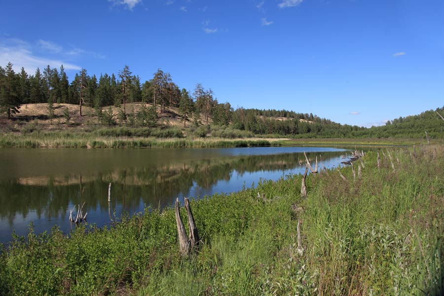_MG_9587.jpg