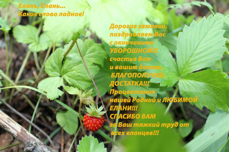 поздравление.jpg