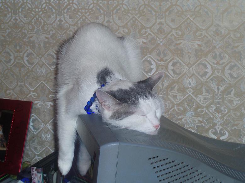 Жади устала.jpg