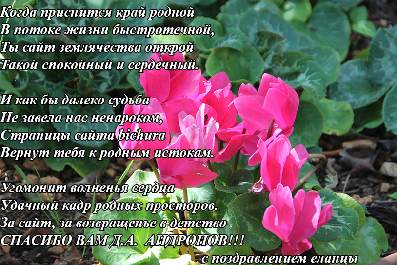 поздравление-от-еланцев.jpg