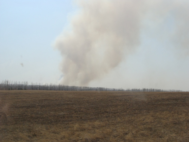 DSC01175.JPGа.JPG