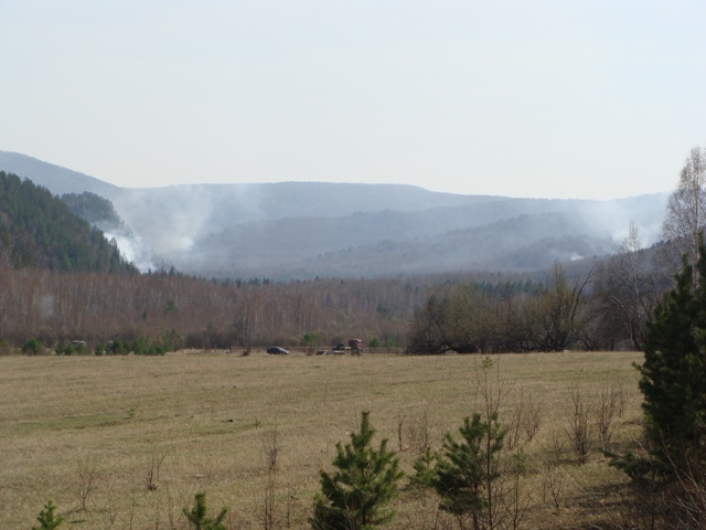 DSC01180.JPGа.JPG