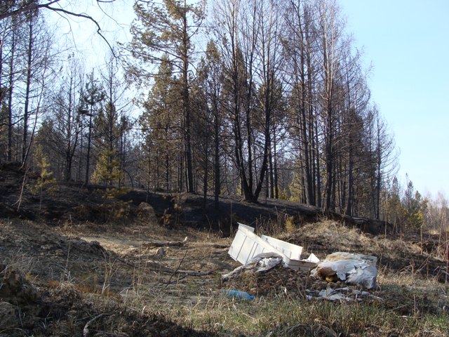 DSC01190.JPGа.JPG