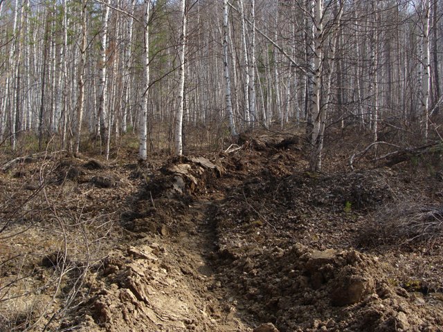 DSC01203.JPGа.JPG