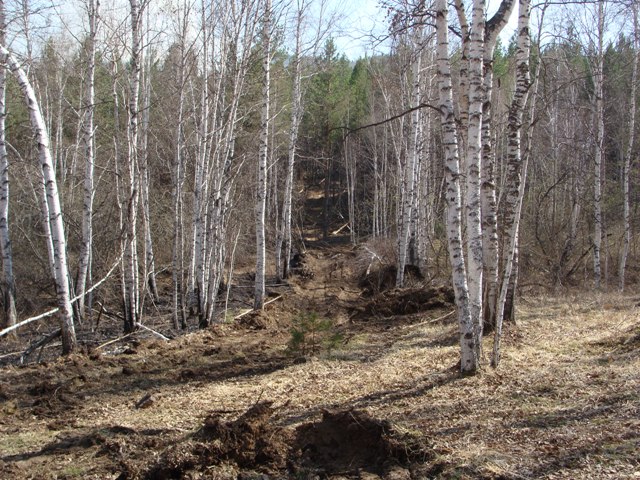 DSC01231.JPGа.JPG