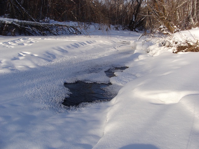 DSC02788ф.JPG