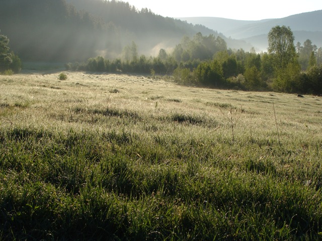 DSC03461ф.JPG