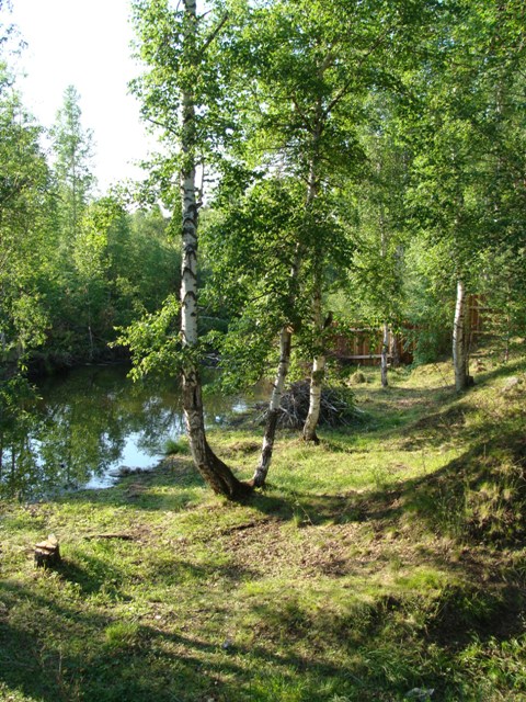 DSC03565ф.JPG