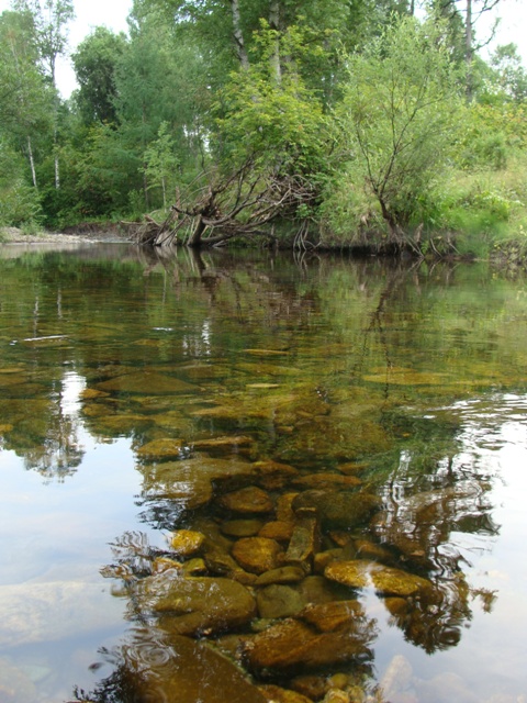 DSC03680ф.JPG