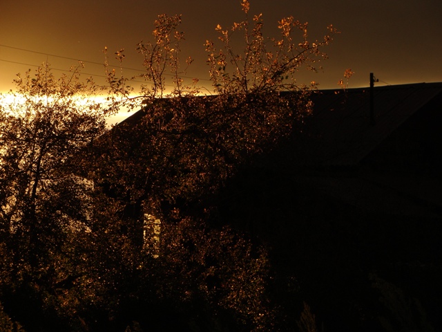 DSC03806ф.JPG