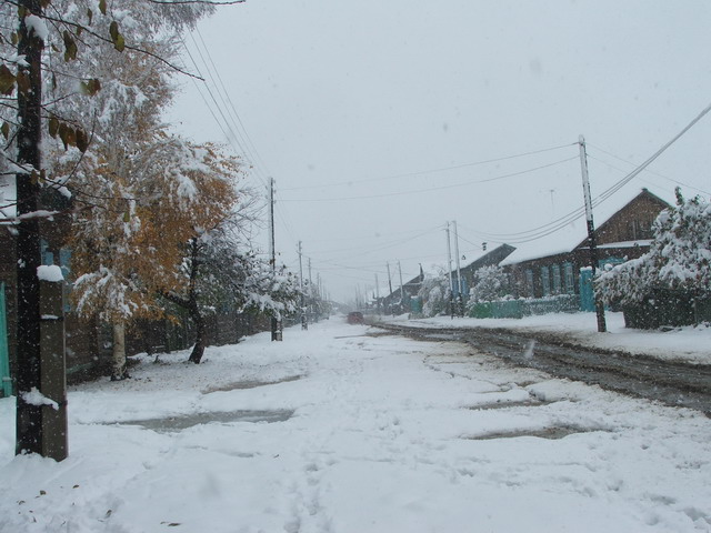 DSCF32675.jpg
