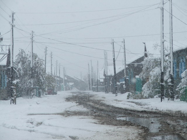 DSCF32713.jpg