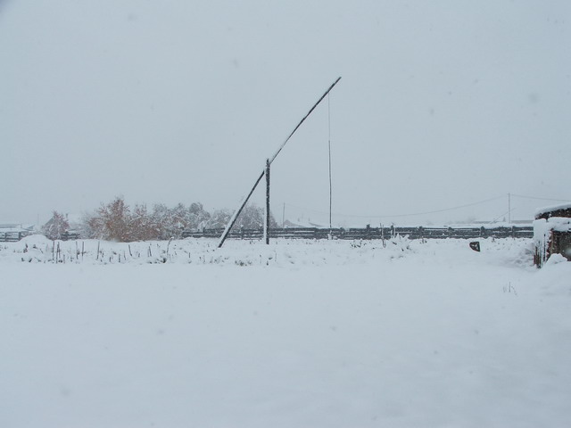 DSCF32794.jpg