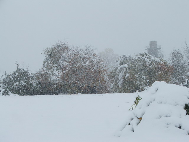 DSCF32812.jpg