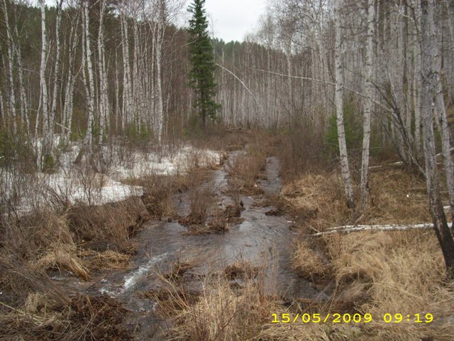 IMG_0883.JPG