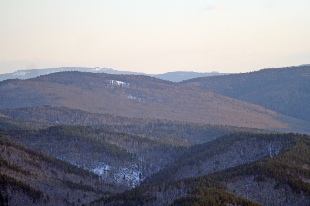 IMG_1493.jpg