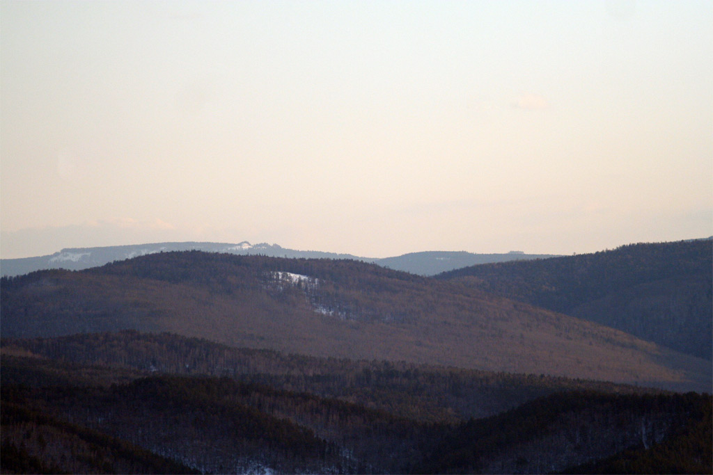 IMG_1494.jpg