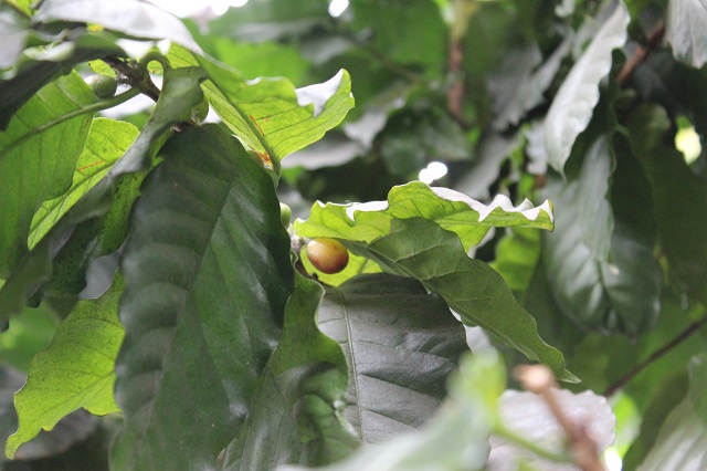IMG_2503 web.jpg