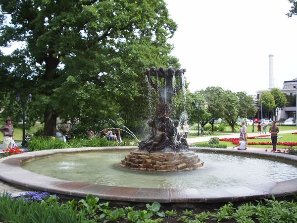 IMGP4306.JPG