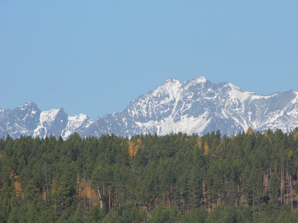 P1010156.jpg