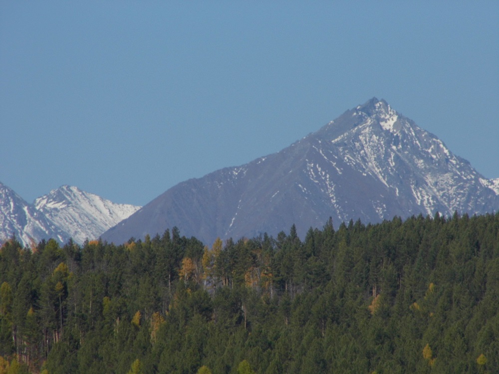 P1010157.jpg