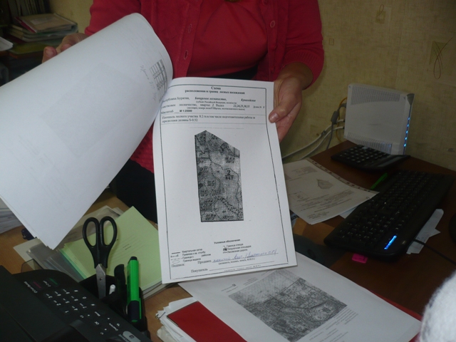 P1040417.JPG