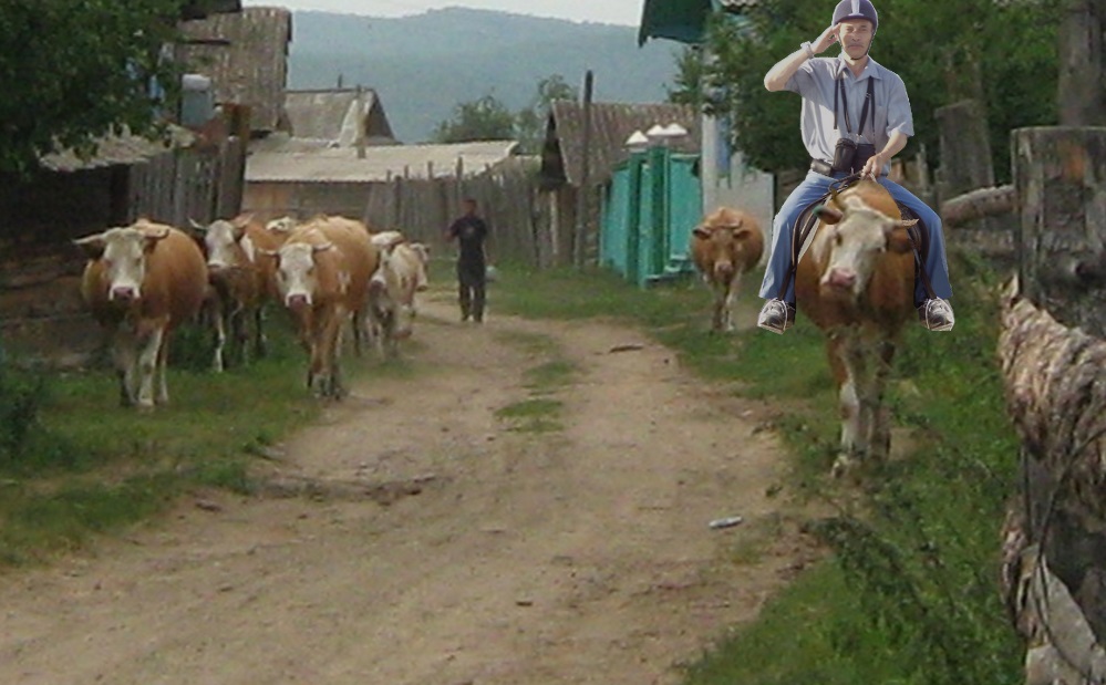 raitelis_104.jpg