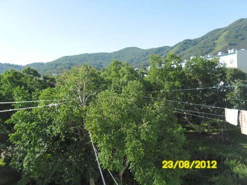 SAM_0048.jpg