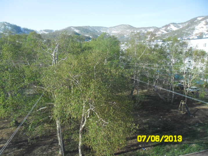 SAM_0169.jpg