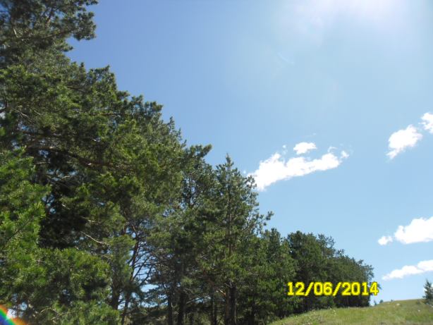SAM_0314.JPG