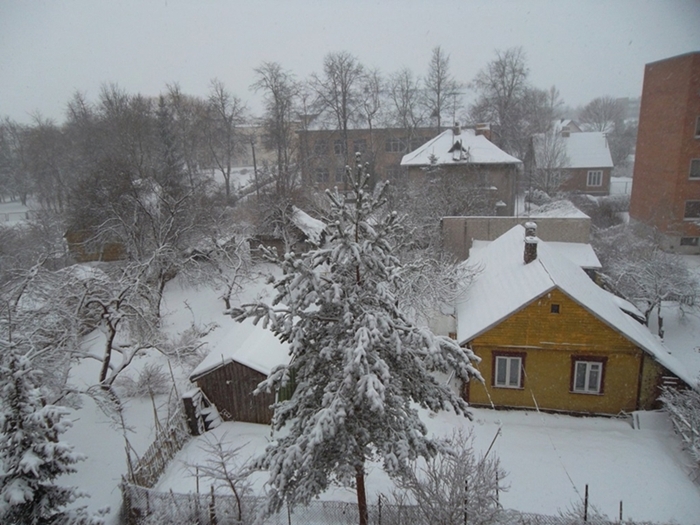 sam_0872_897.jpg