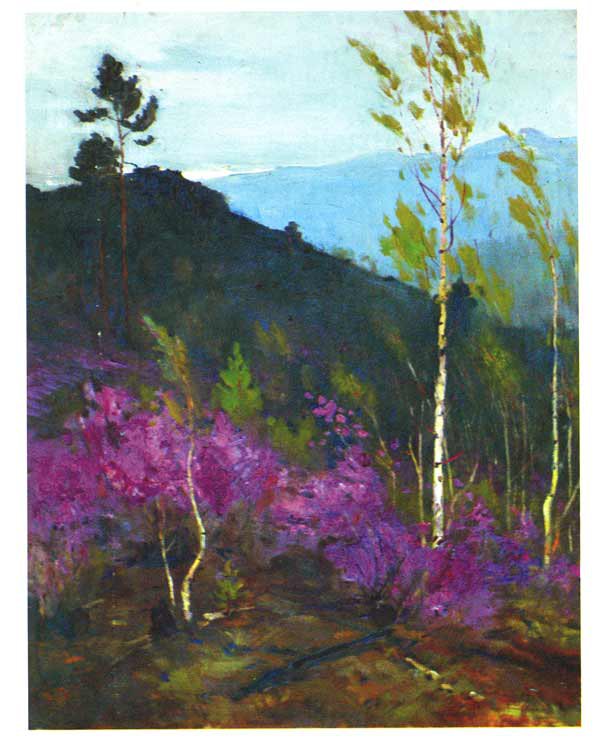 Багульник